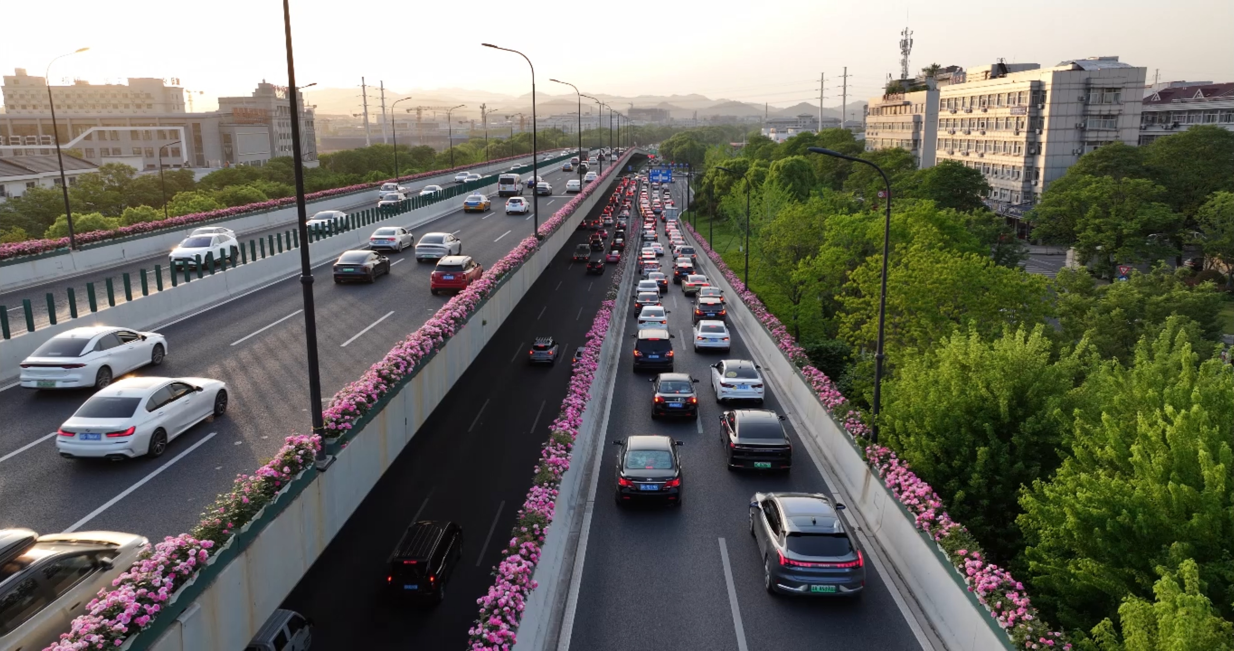浙江义乌：城市服务升级 民生实事见成效