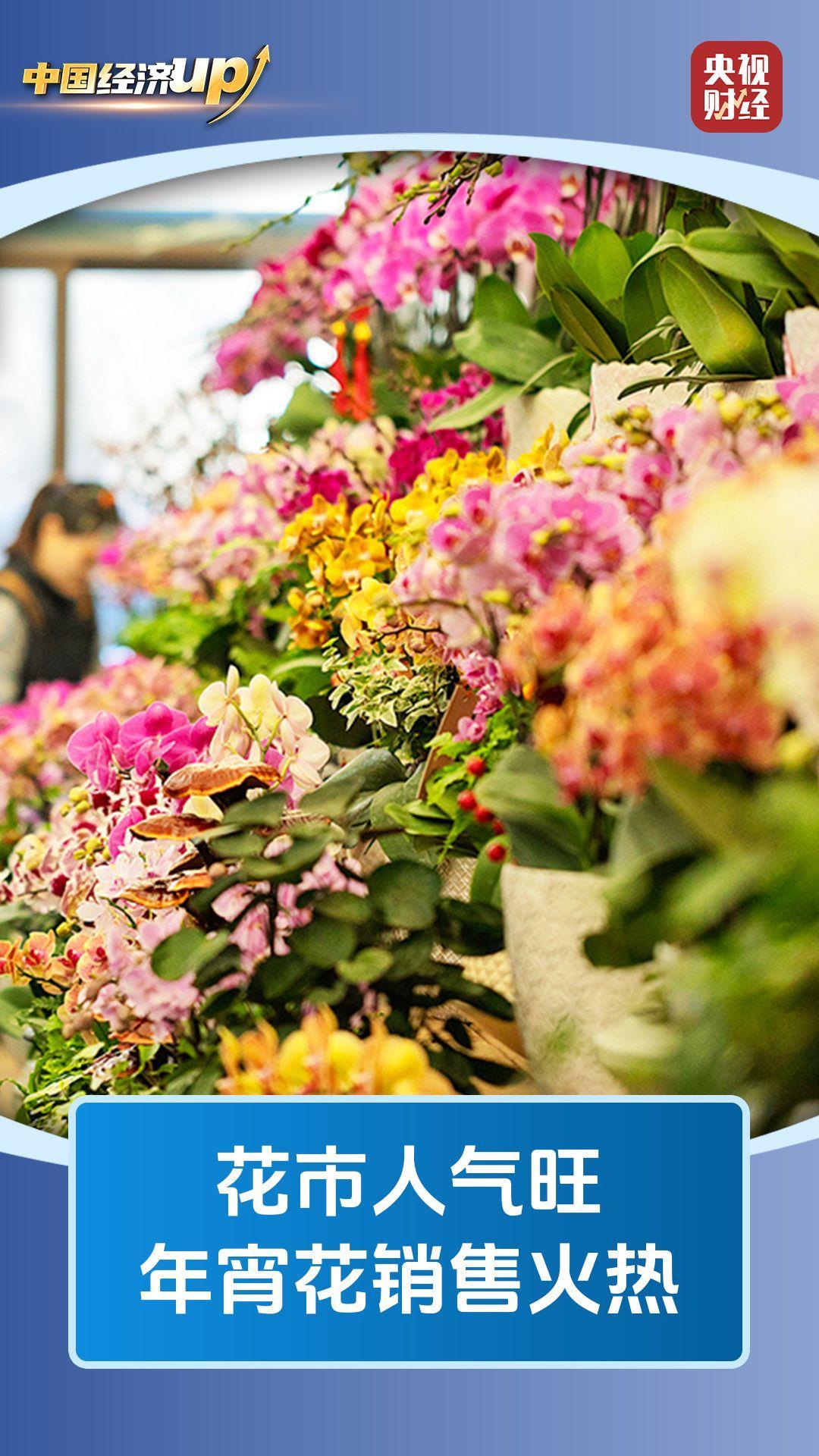 城市换新装、花市人气旺 跨年仪式感拉满了