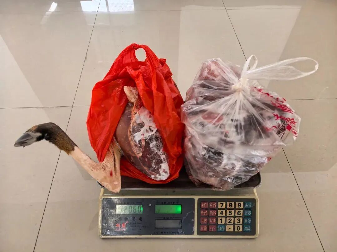 利用改装无人机非法狩猎野生动物,1人被抓! 利用改装无人机非法狩猎野生动物,1人被抓!