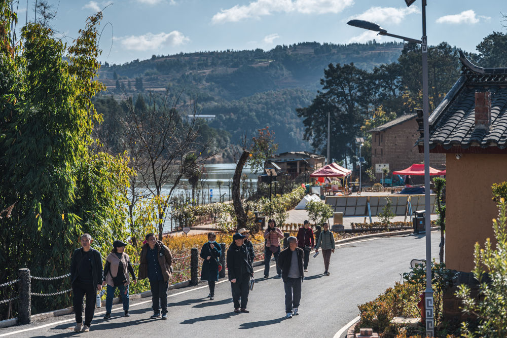 “村潮”奔涌！“村字号”助力乡村更美好