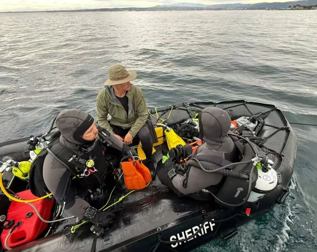 被鲨鱼叼走一周后，她的遗体被找到！生前喜欢研究鲨鱼，曾为鲨鱼辩护