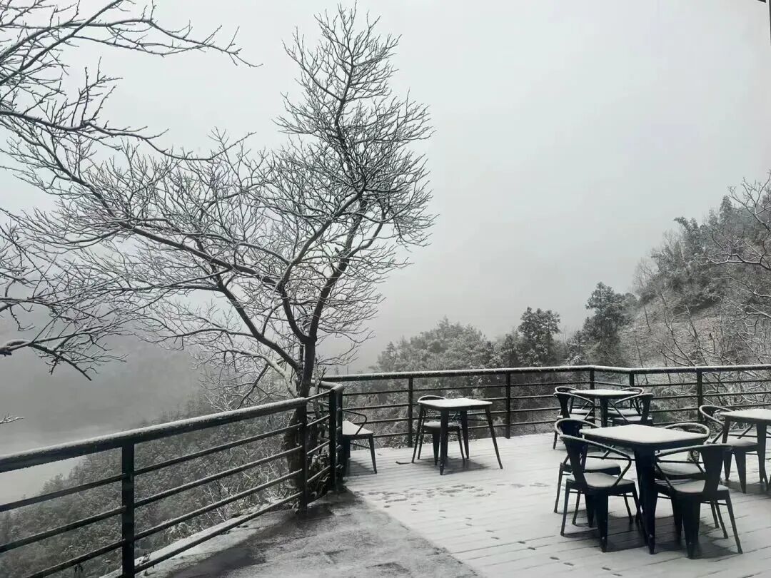 上海今天真的下雪了！多图袭来！气温即将跌至-5℃......