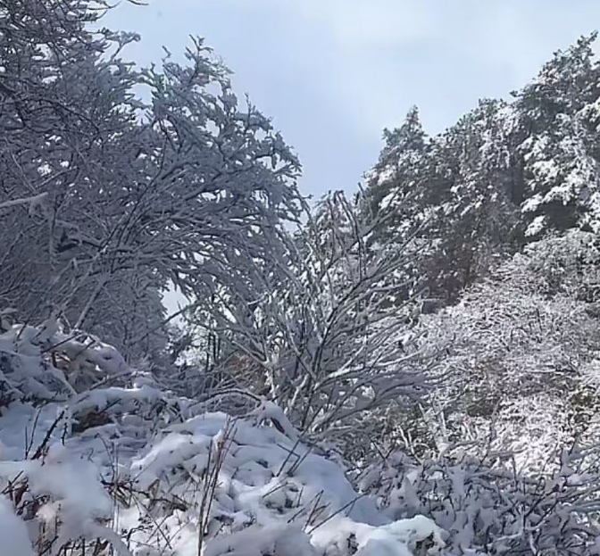 湖南又一地下雪了!长沙接下来的天气…… 湖南又一地下雪了!长沙接下来的天气……