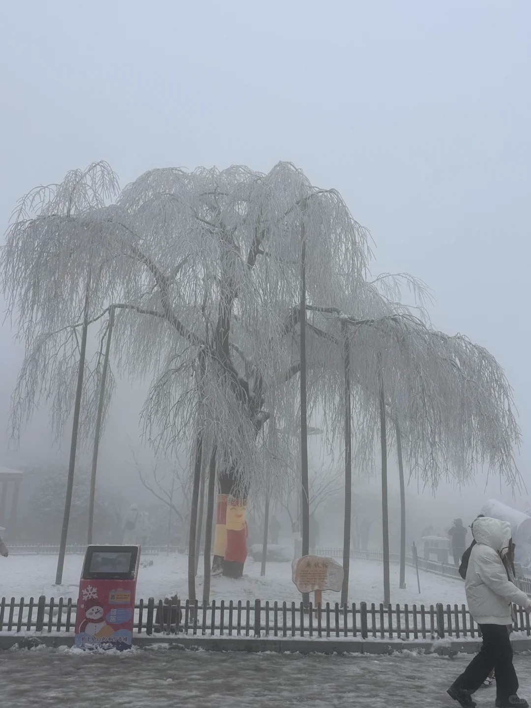 江西多地下雪了！
