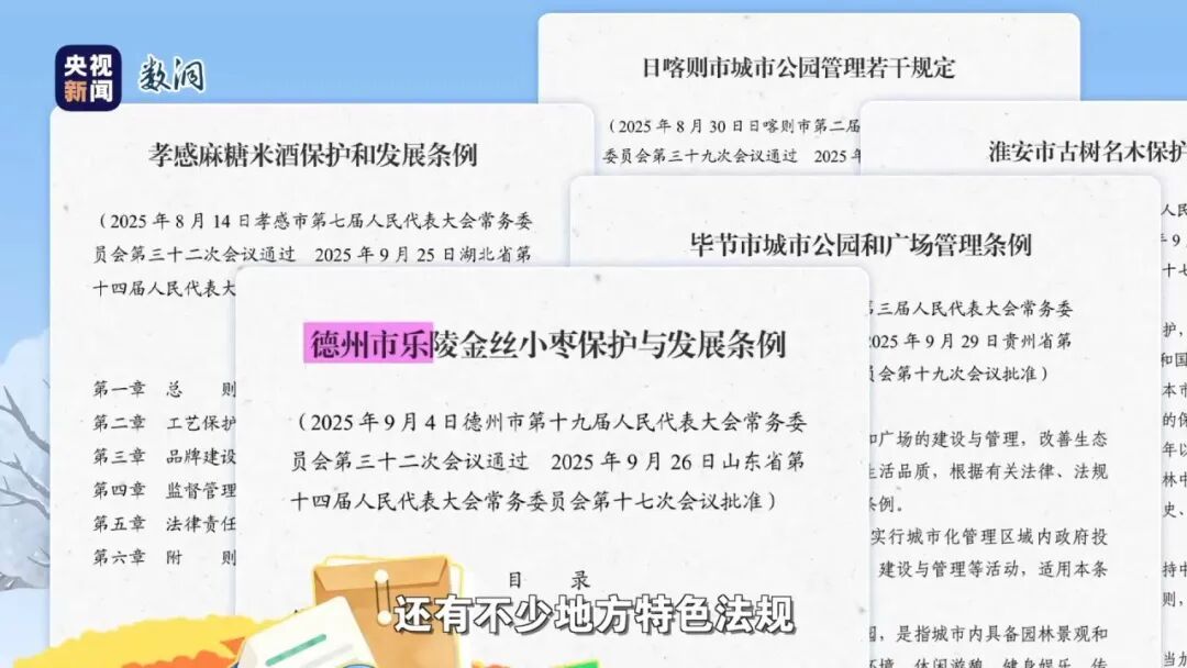 2026，哪些事情将点亮你的生活