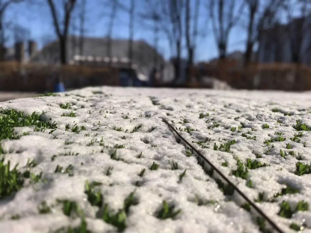 零下33.3℃，辽宁这里嘎嘎冷！升温就在……