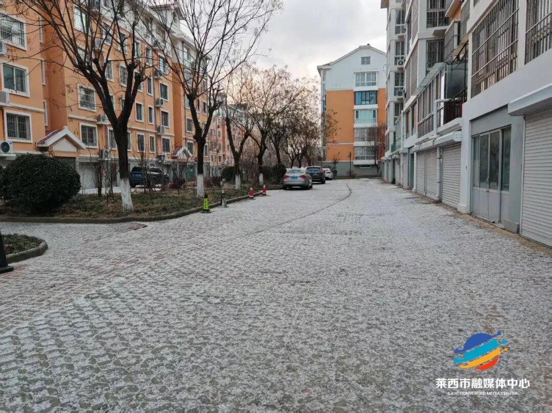 青岛多地下雪了，下得还不小！有图有真相→