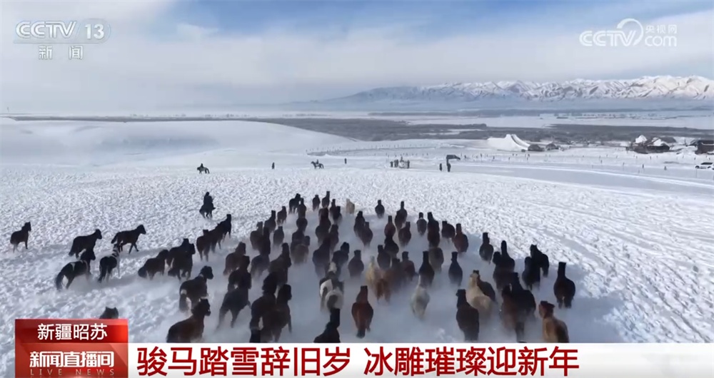 新业态、新供给澎湃假日文旅消费新动能 文化之美“百花齐放”添彩元旦假期