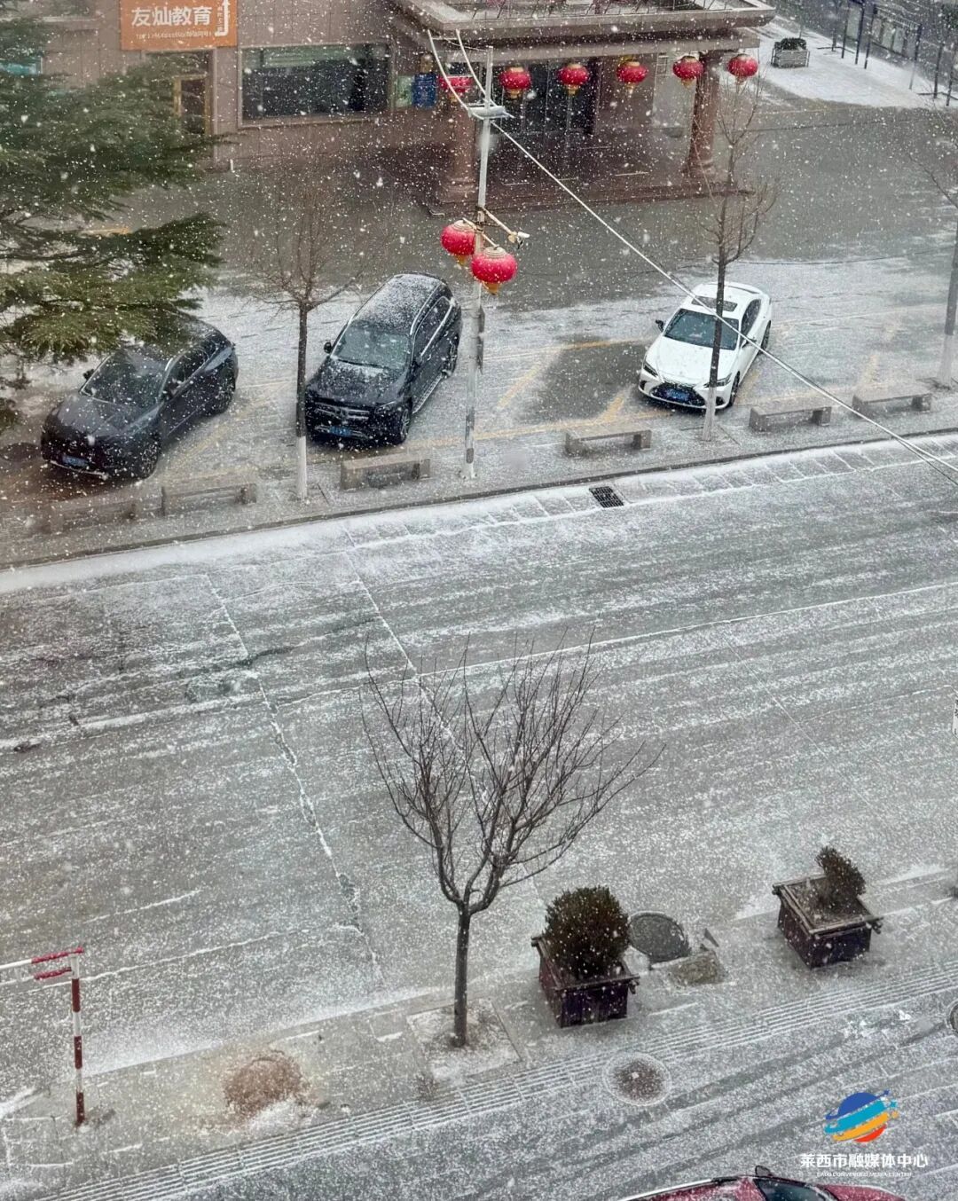 青岛多地下雪了，下得还不小！有图有真相→
