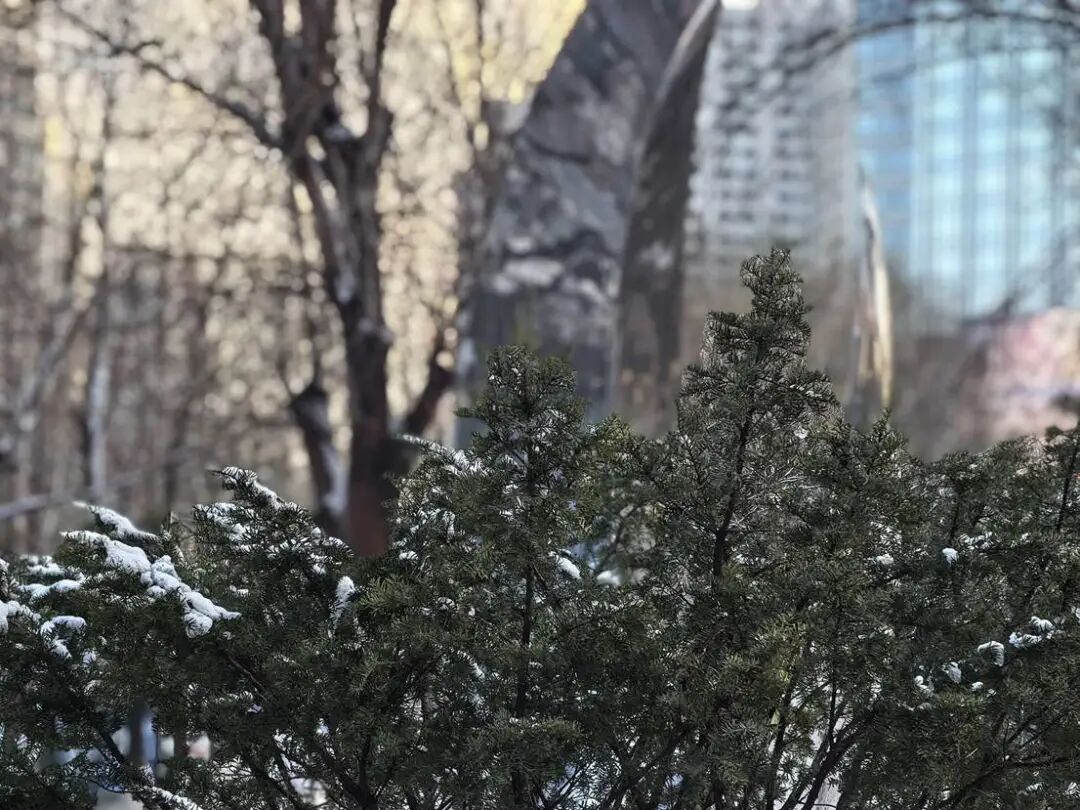 零下33.3℃，辽宁这里嘎嘎冷！升温就在……