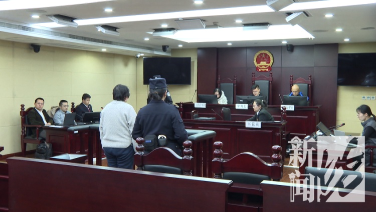 上海一女子掏空公司3500万！养了上百只猫，还痴迷于“云祭祀”……