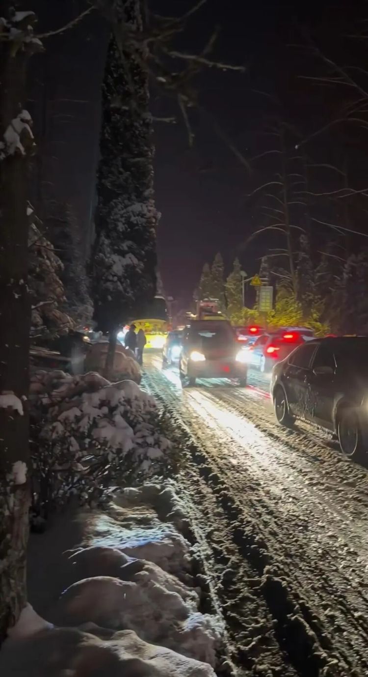 “-9℃，又冷又饿还没信号！”洛阳突遇暴雪多处道路被封，大批老君山游客滞留超12小时
