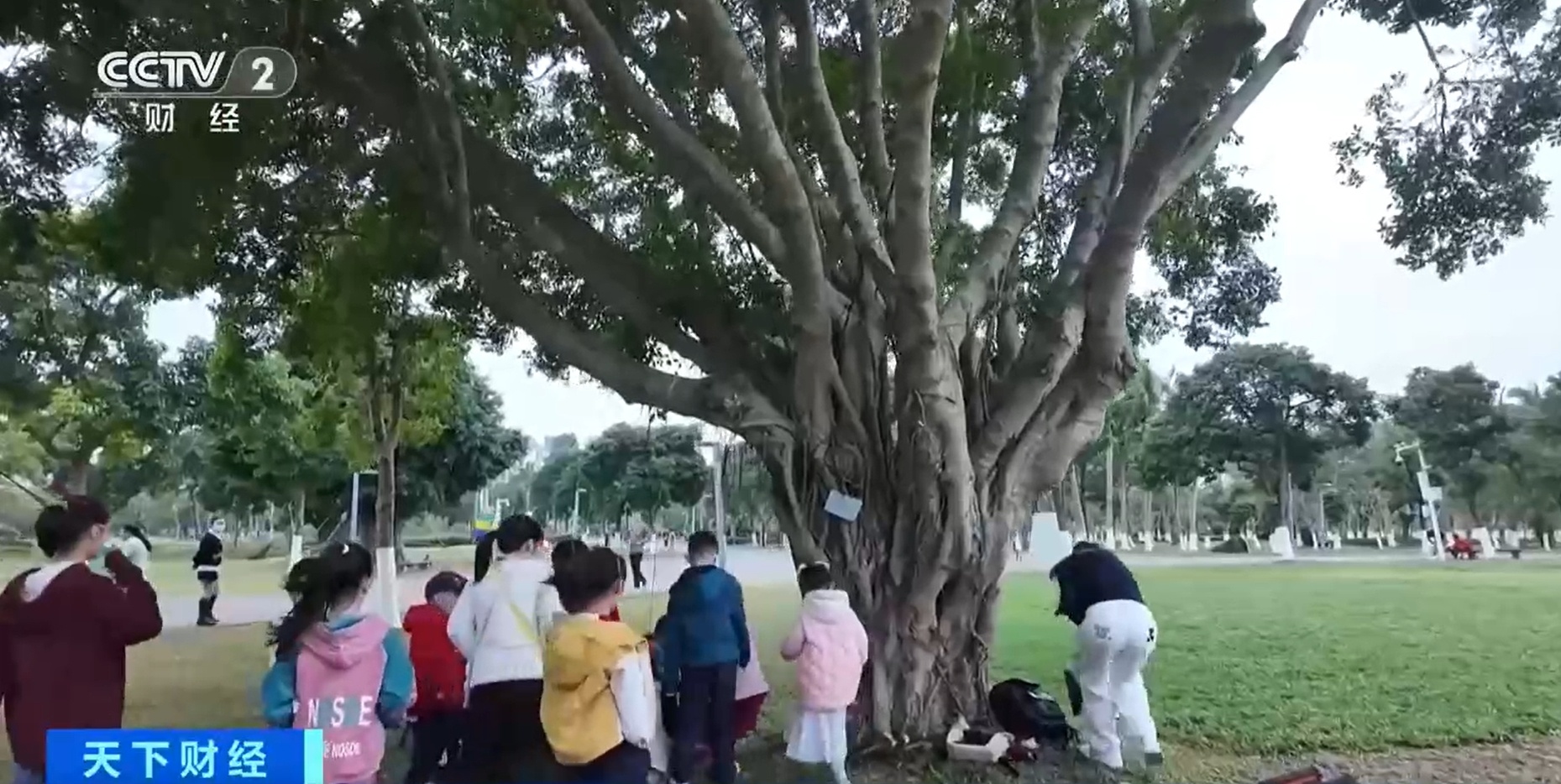 教育+文旅 创新实践生动诠释海南自贸港文化融合发展