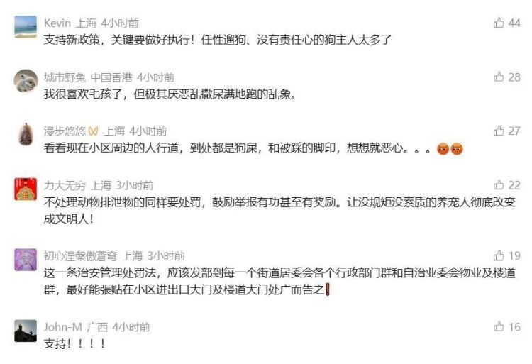 养宠人注意！今起实施！最高拘10天罚1000元