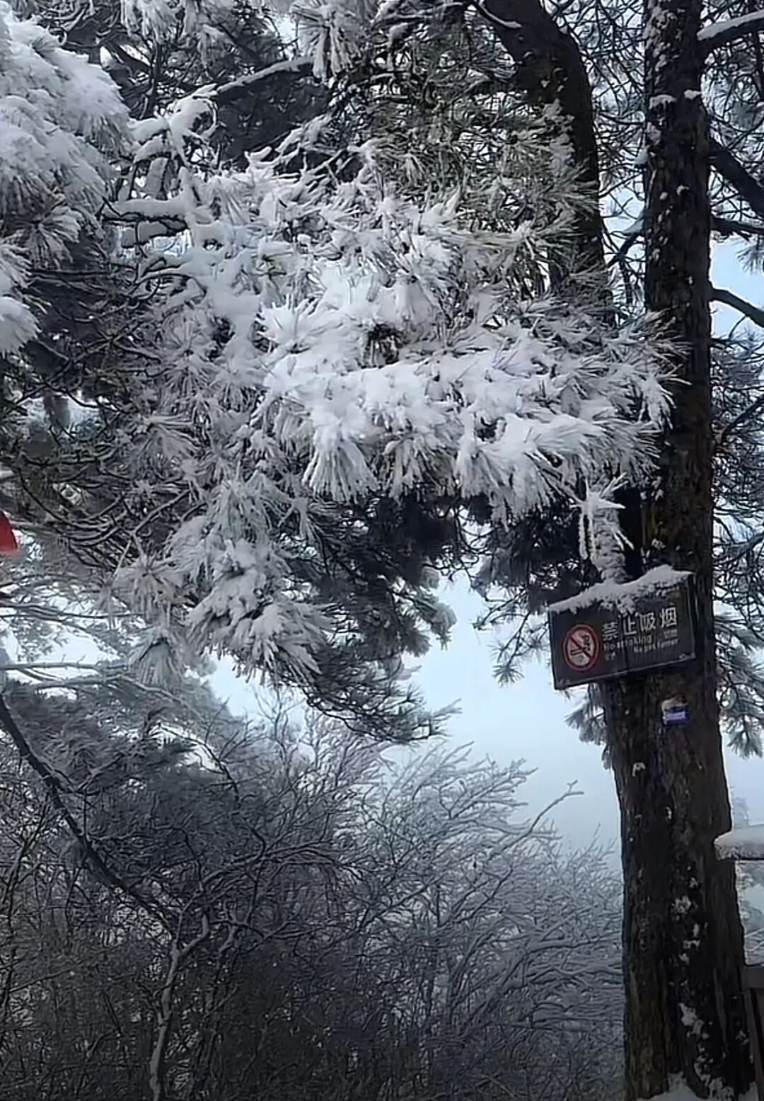 湖南又一地下雪了!长沙接下来的天气…… 湖南又一地下雪了!长沙接下来的天气……