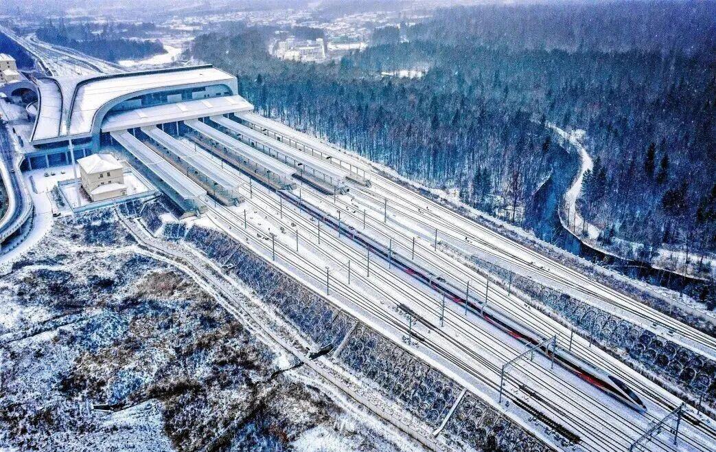 元旦外出游玩 这份安全指南请收好