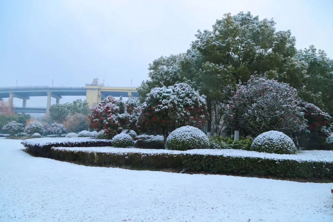 南京下雪啦！2026年的第一场雪如期而至！江苏发布降雪量预报