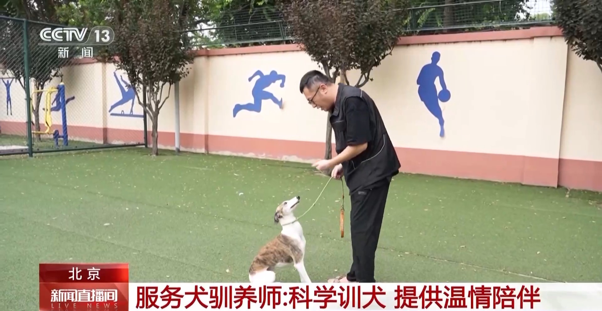 新消费催生新职业 专业服务装点美好生活