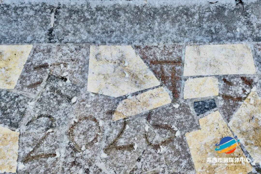 青岛多地下雪了，下得还不小！有图有真相→