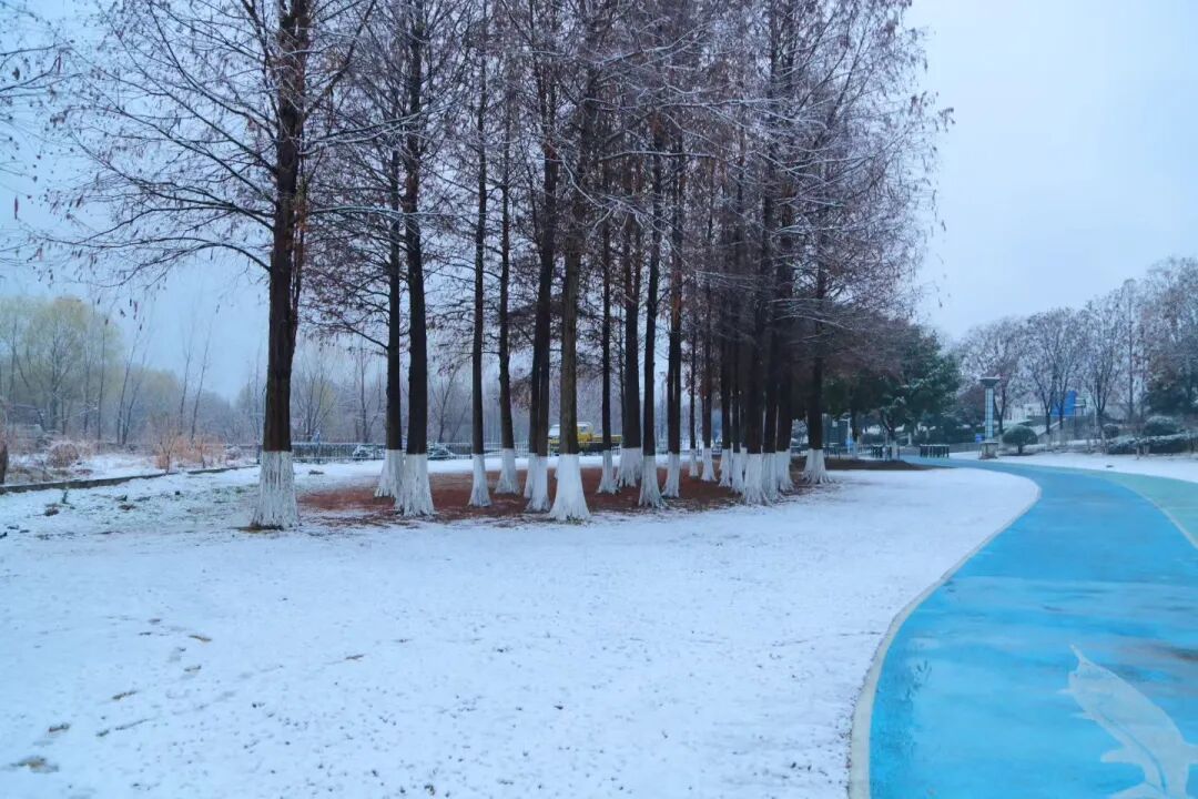南京下雪啦！2026年的第一场雪如期而至！江苏发布降雪量预报