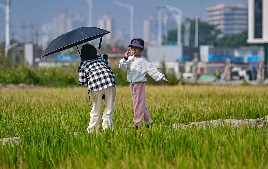 最低零下4℃！广东将明显降温
