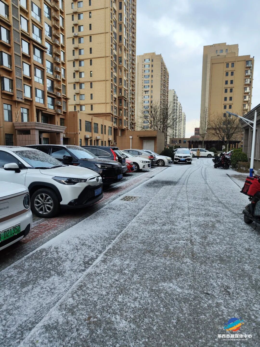 青岛多地下雪了，下得还不小！有图有真相→
