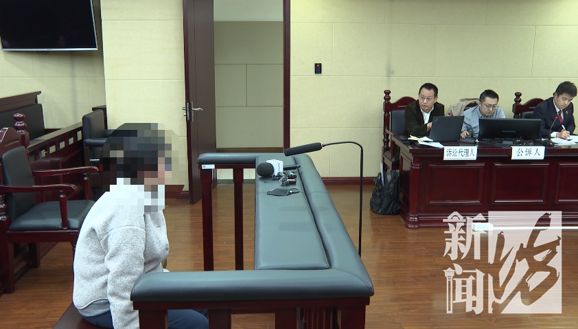 沪一女子掏空公司3500万！养了上百只猫，还痴迷于"云祭祀"…