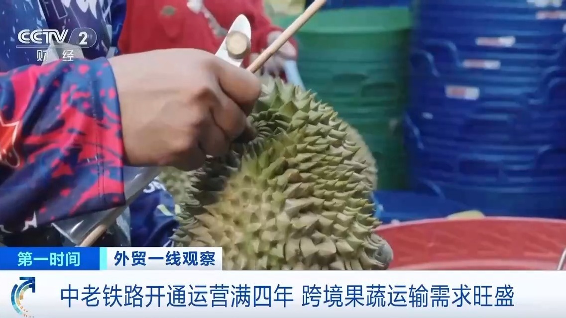 中老铁路开通运营满四年 跨境果蔬运输需求旺盛 中老铁路开通运营满四年 跨境果蔬运输需求旺盛