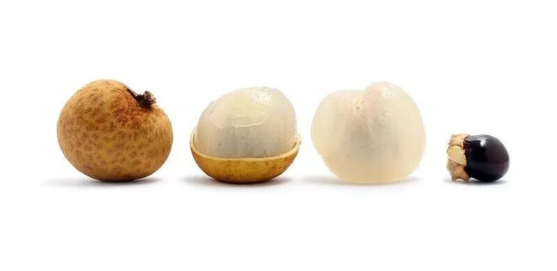 抗衰老、补益心脾!秋冬每天吃几颗,养出好气色→ 抗衰老、补益心脾!秋冬每天吃几颗,养出好气色→