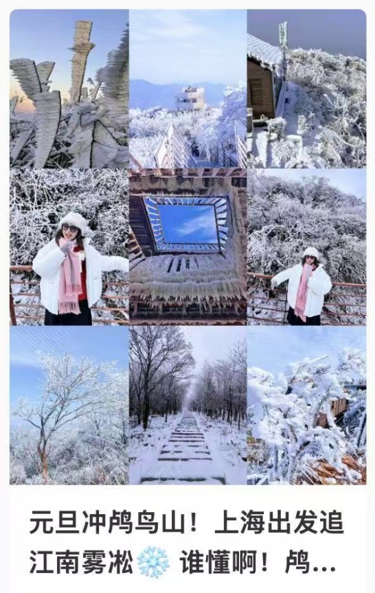 上海今天真的下雪了！多图袭来！气温即将跌至-5℃......