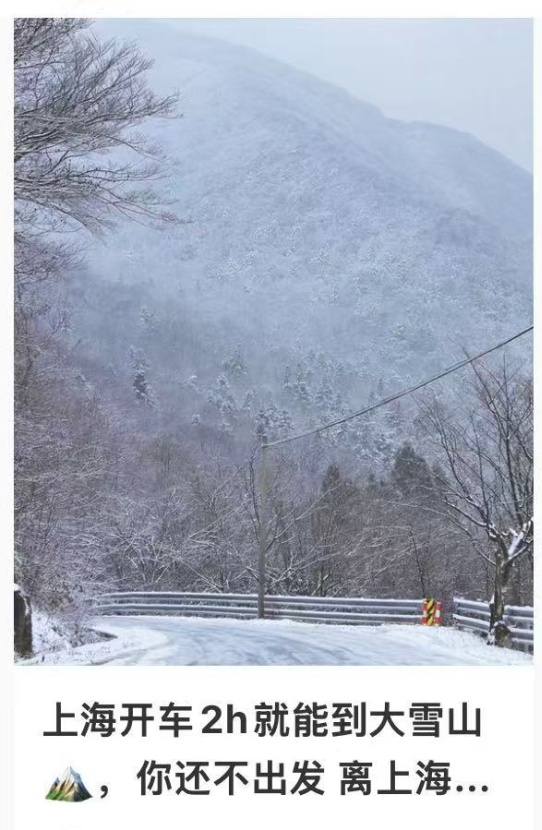 上海今天真的下雪了！多图袭来！气温即将跌至-5℃......