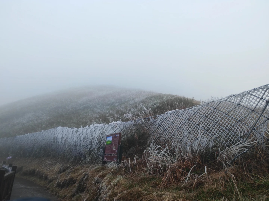 江西多地下雪了！