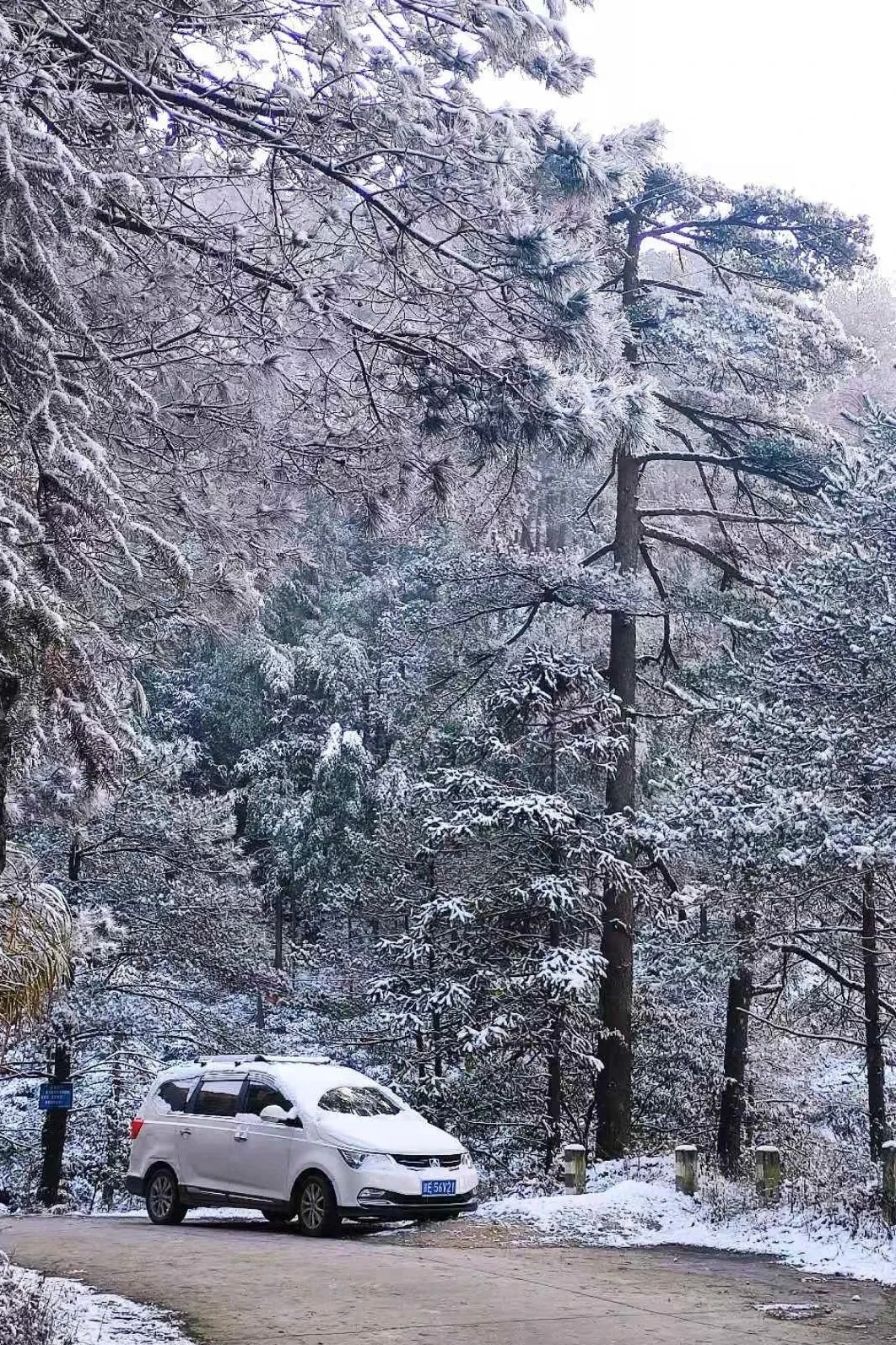 江西多地下雪了！