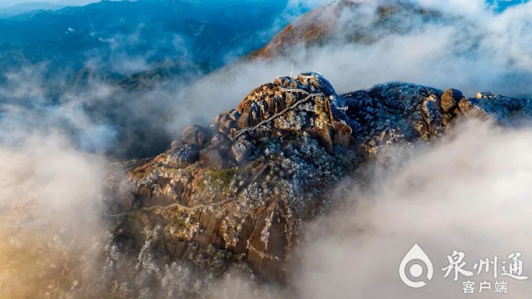 绝美！福建多地迎来2026年首场雾凇！