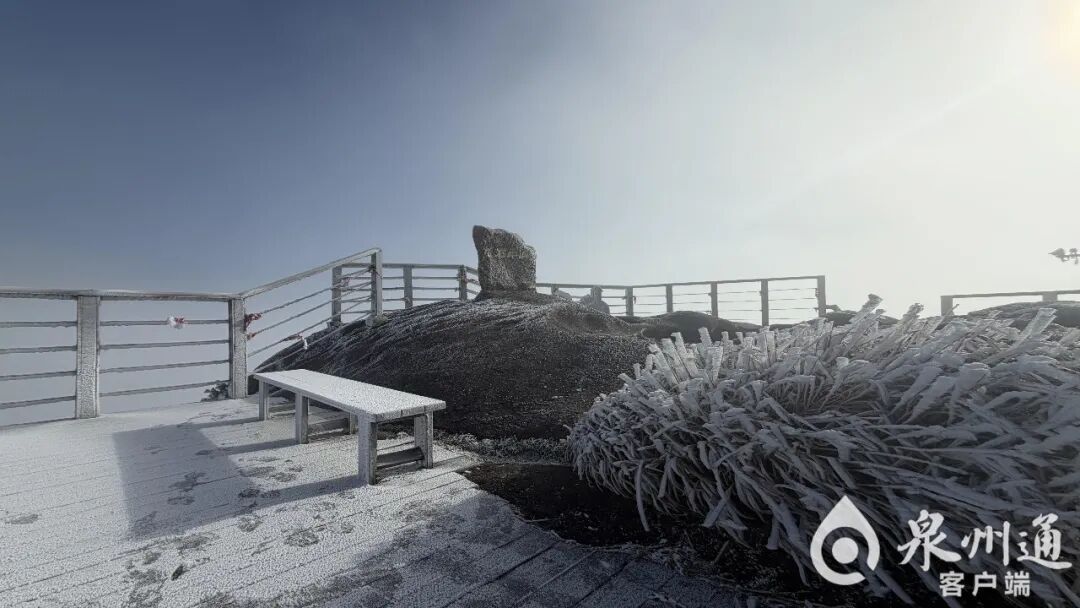 绝美！福建多地迎来2026年首场雾凇！