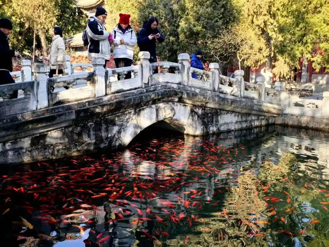 44.1万人次，北京市属公园迎来新年首个游园小高峰