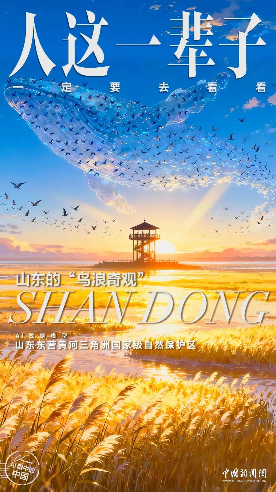 人这一辈子，一定要来山东追一次“鸟浪”！