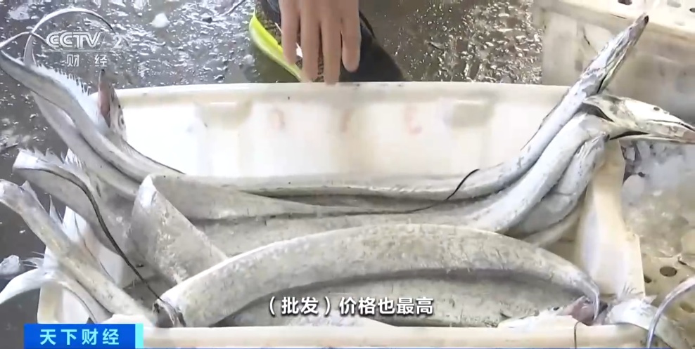 今年太紧俏！价格上涨约20%，经销商都在抢