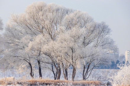 羡慕！吉林市民喜提凇景房