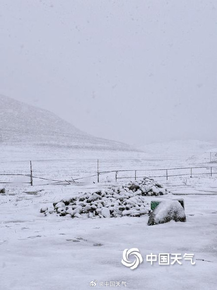 瑞雪迎新！湖南湘西州八面山大雪漫卷 天地披银装