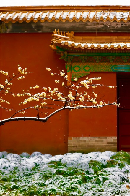 2026南京初雪 2026南京初雪