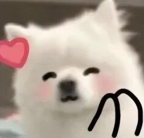 “妈妈我明天开始减肥！”“行，那今天晚上给你炖红烧肉”