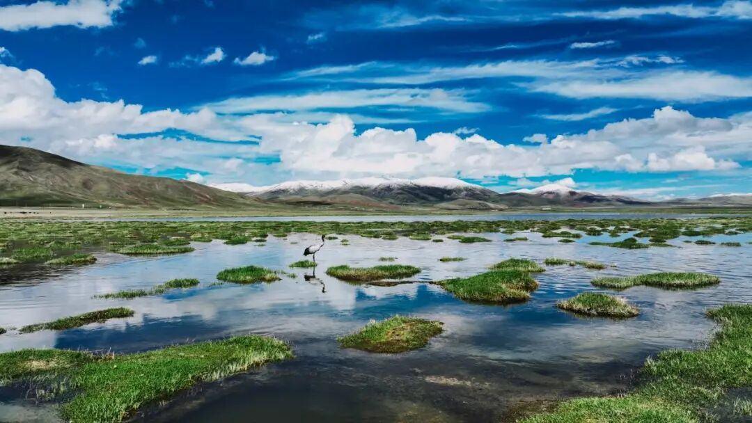 国家公园法施行，十大看点了解新变化