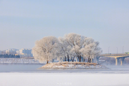 羡慕！吉林市民喜提凇景房
