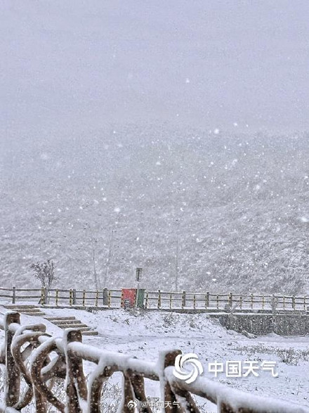 瑞雪迎新！湖南湘西州八面山大雪漫卷 天地披银装