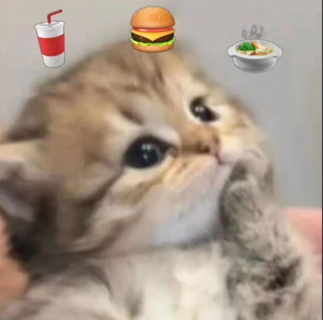 “妈妈我明天开始减肥！”“行，那今天晚上给你炖红烧肉”