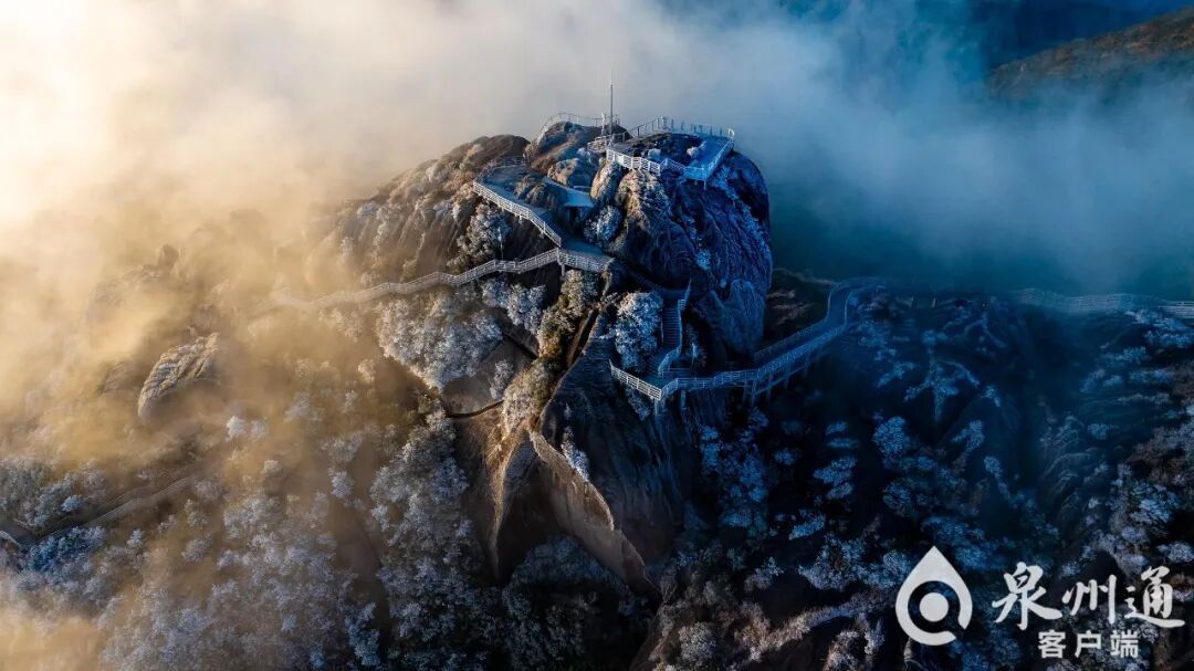 绝美！福建多地迎来2026年首场雾凇！