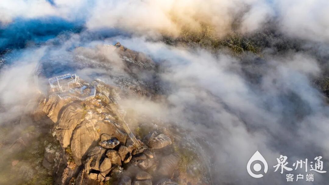 绝美！福建多地迎来2026年首场雾凇！