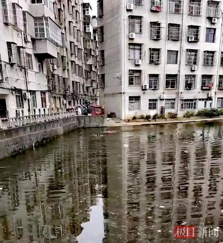 小伙寒冬跳进水塘，岸边母亲急得哭，他上岸后母亲却笑了：儿子救起一个落水小孩