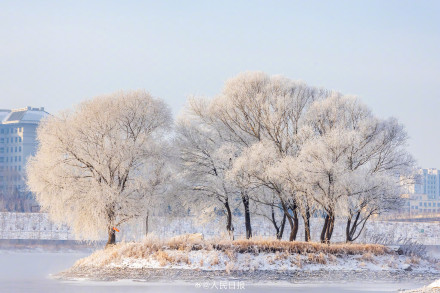 羡慕！吉林市民喜提凇景房